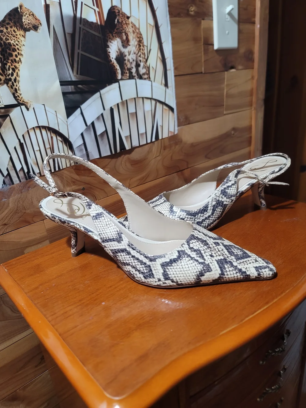 Sam Edelman Snake-Print Pointed Toe Flats in Beige and Black